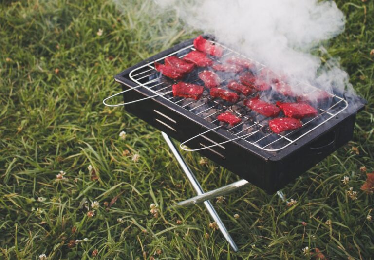 Beef steaks preparing on barbecue rack with steam diffusing in air over meadow in daytime