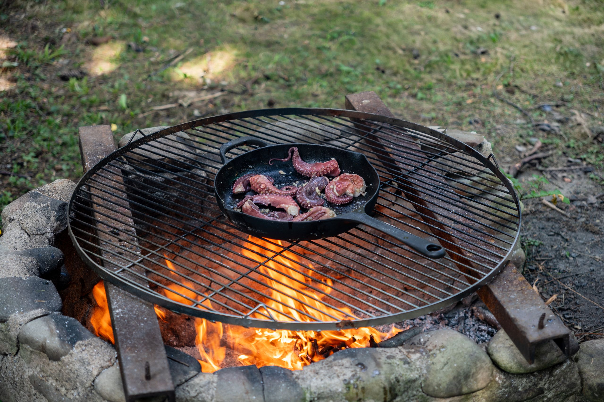 Perfectly grilled octopus tentacles sizzling over a campfire in a cast-iron pan, ideal for outdoor cooking enthusiasts.