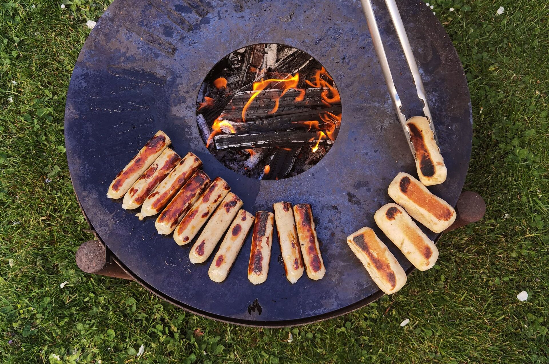 Top view of grilled sausages over a round outdoor fire pit on grass.